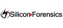 Silicon Forensics