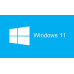 Windows 11 Pro 64 Bit English