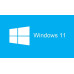 Windows 11 Pro 64 Bit Hebrew USB Retail