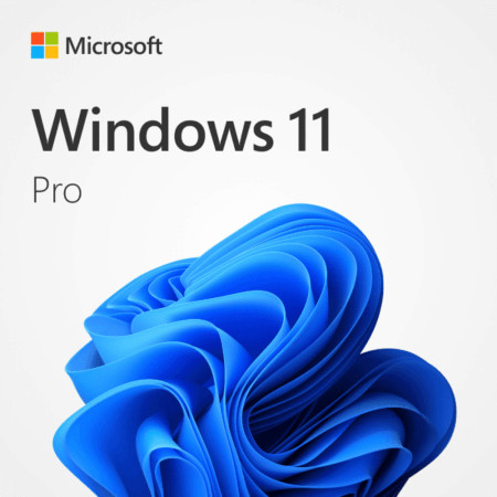 Windows 11 Pro 64 Bit Hebrew USB Retail