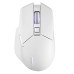 מארז - עכבר ALPHYN AM10 + כרטיס מסך PowerColor Hellhound Spectral White RX 9070 XT 16GB GDDR6