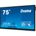 מסך מגע אינטראקטיבי בגודל 75 אינצ' IIYAMA 75" ProLite IPS 40pt Touch 4K Interactive