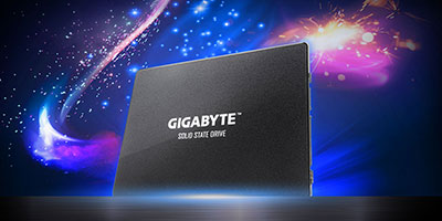 GIGABYTE GP-GSTFS31256GTND Solid State Drive, 256GB Capacity, 2.5-inch  Internal SSD, SATA 6.0 Gb/s Interface, up to 520 MB/s Sequential Read  Speed